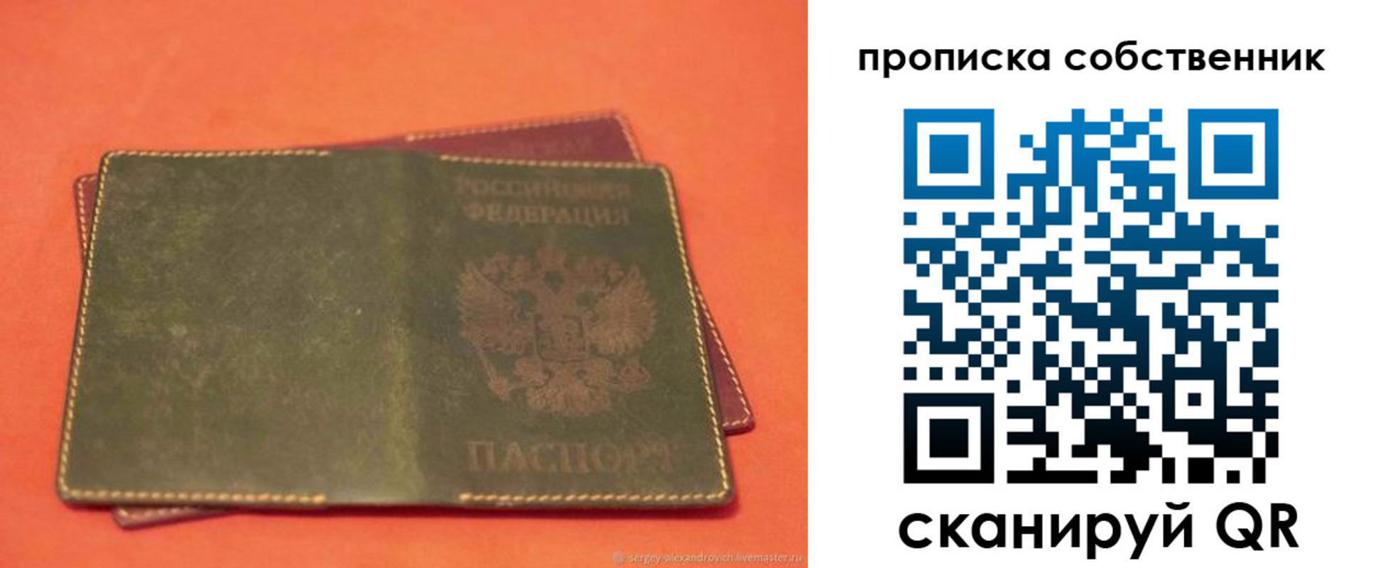регистрация для школы в Ленинградской области