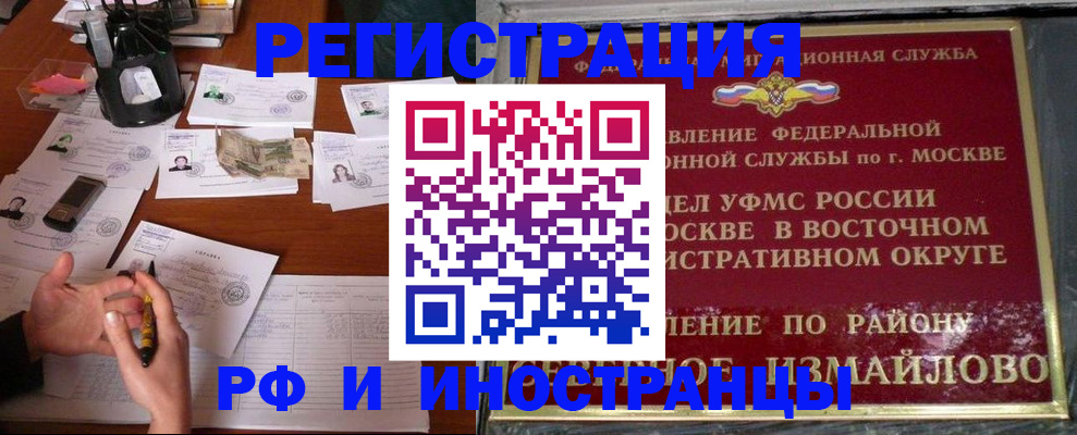 где прописаться в Ленинградской области